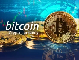 Bitcoin's 30% Slide: The Data Behind the Drop and What's Next